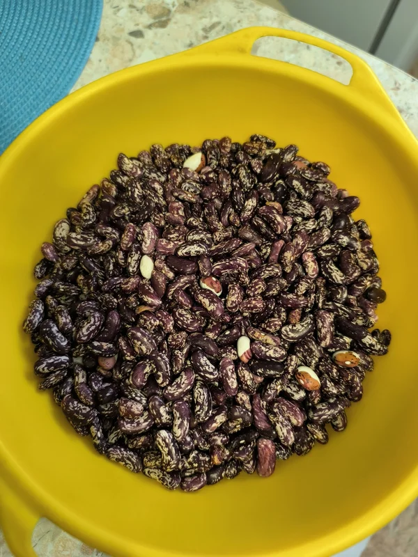 Красная фасоль