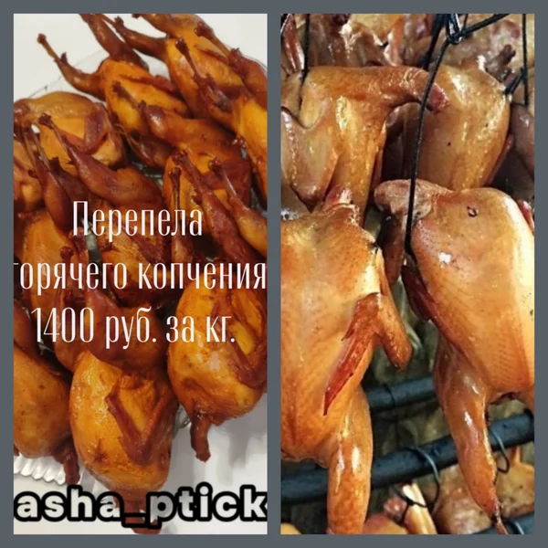 ПЕРЕПЕЛА ГОРЯЧЕГО КОПЧЕНИЯ