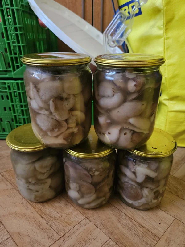 Маринованные маслята