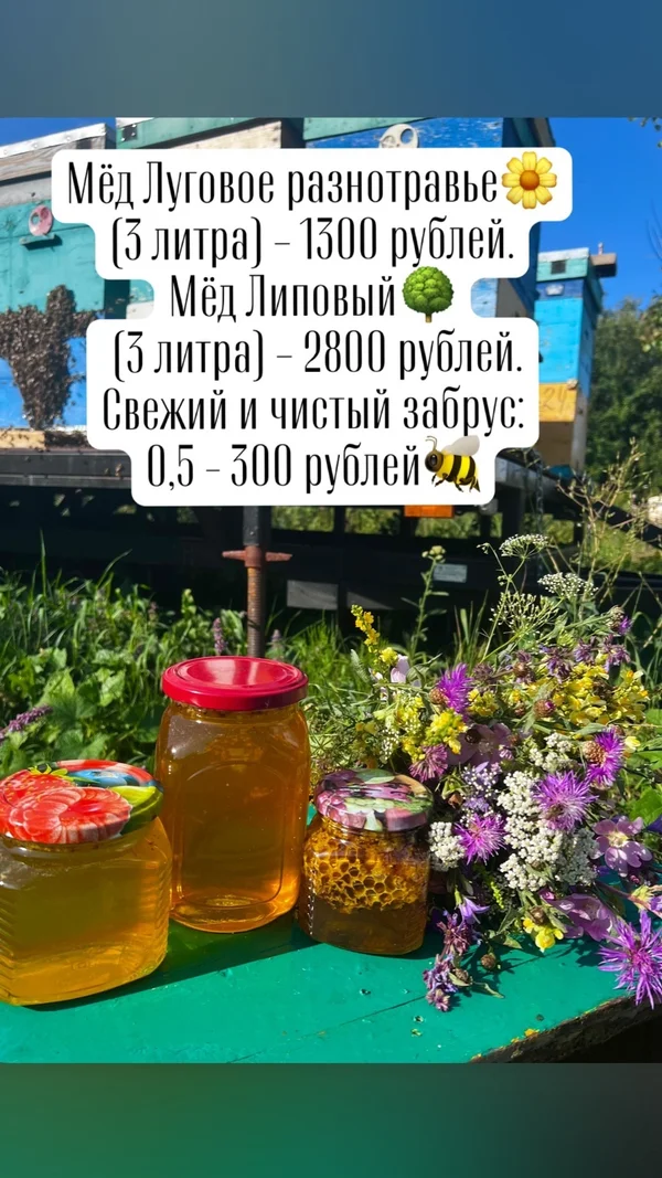 Мёд Луговое разнотравье