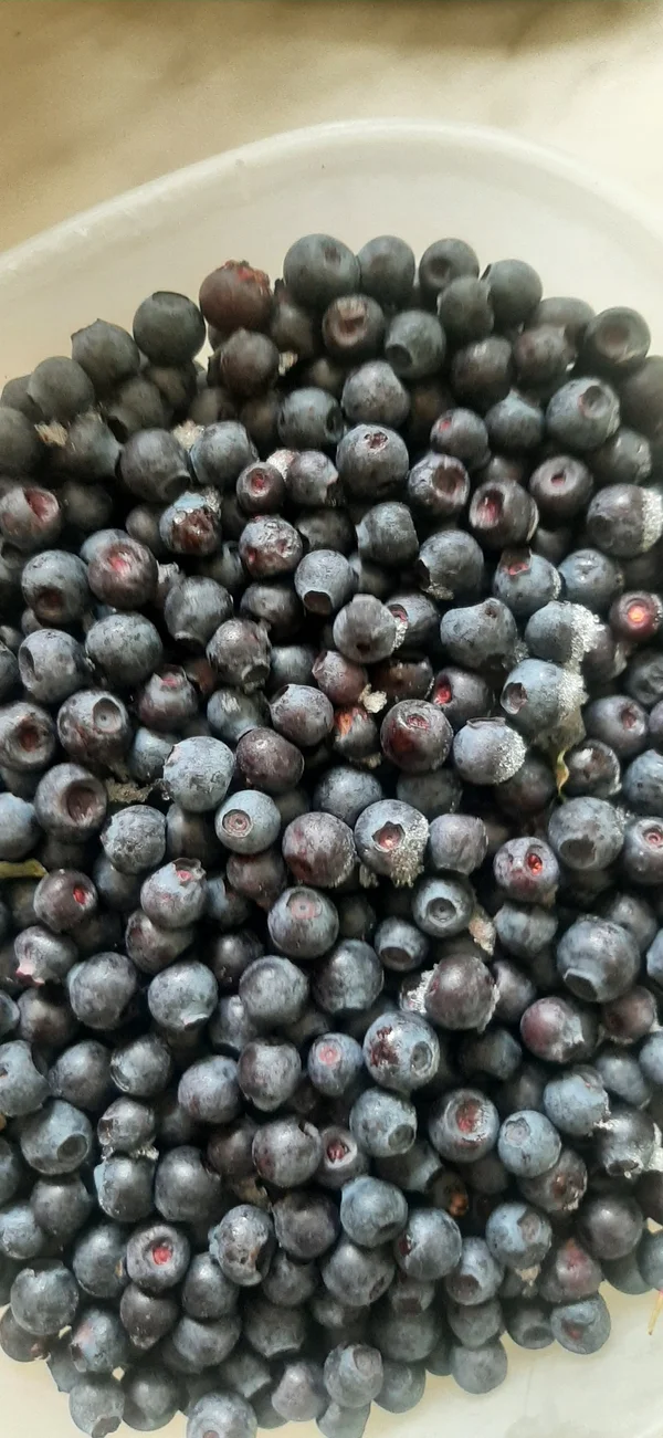 Замороженные ягоды дикие, садовые