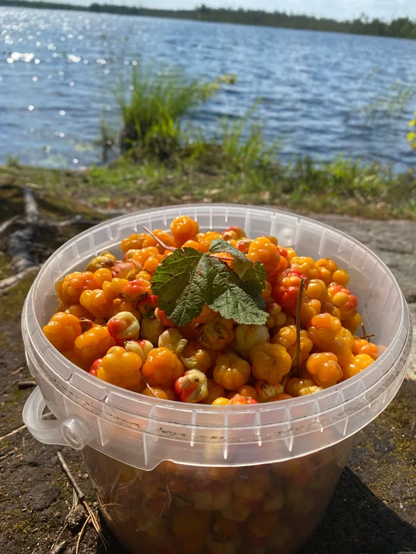 Варенье из морошки (0.25 л)