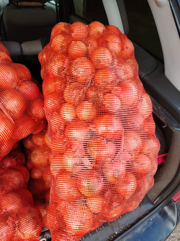 Лук