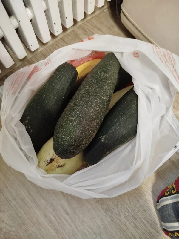 Кабачки, цукини
