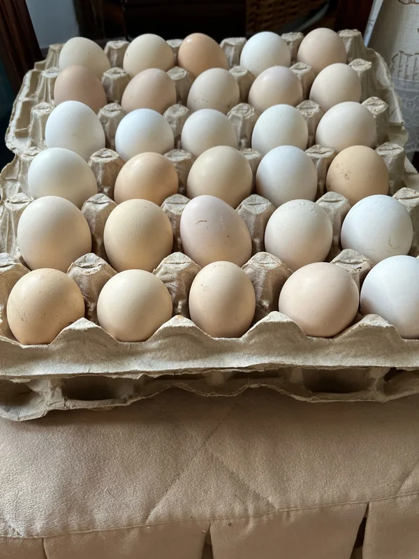 Яйца куриные