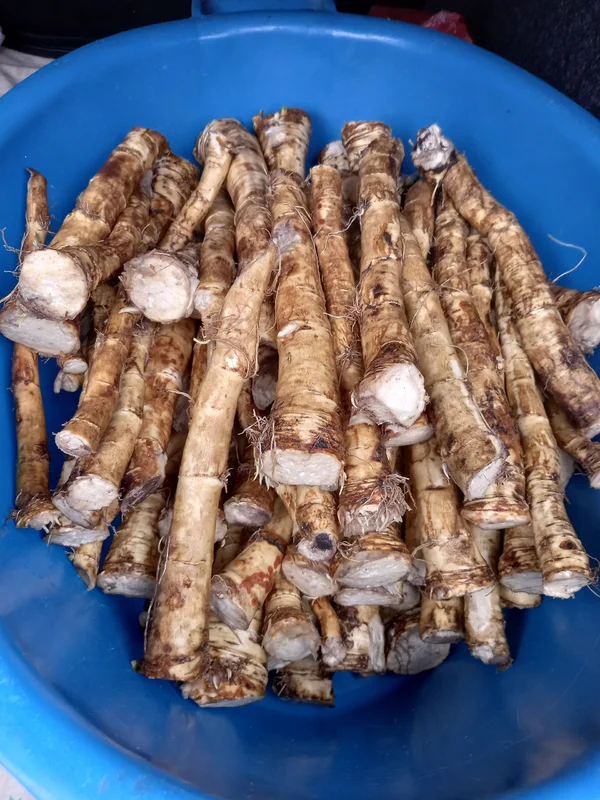 Корень хрена