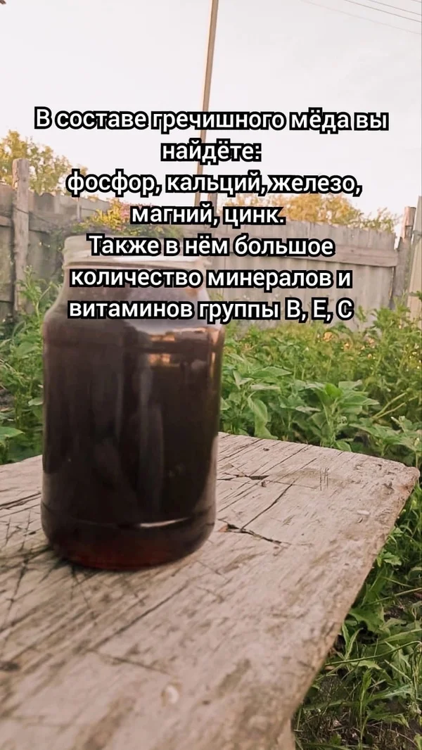 Гречишный мёд