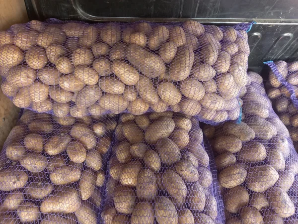 Картофель