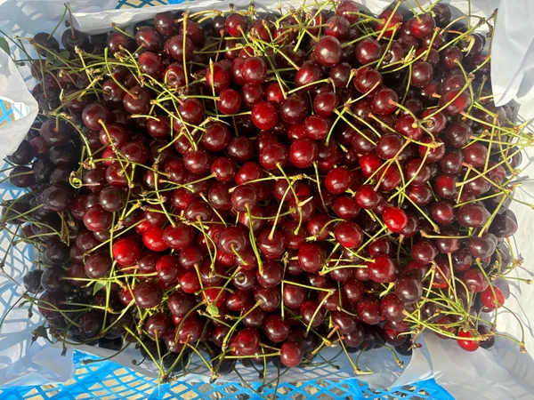 Вишни