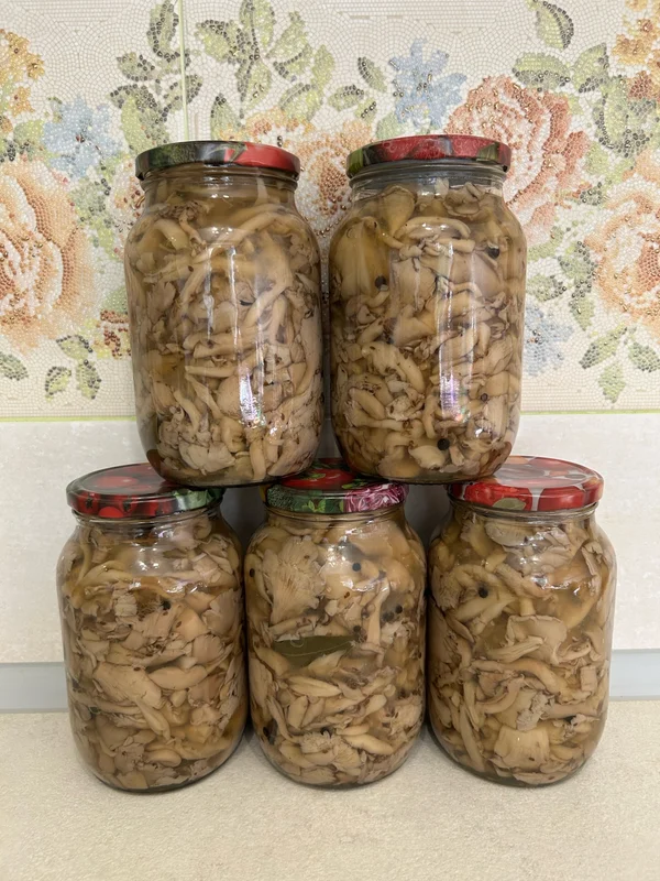 Грибы вешенки маринованные