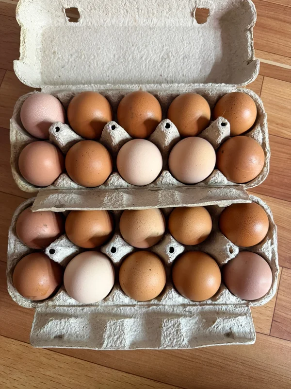 Яйца домашние свежие