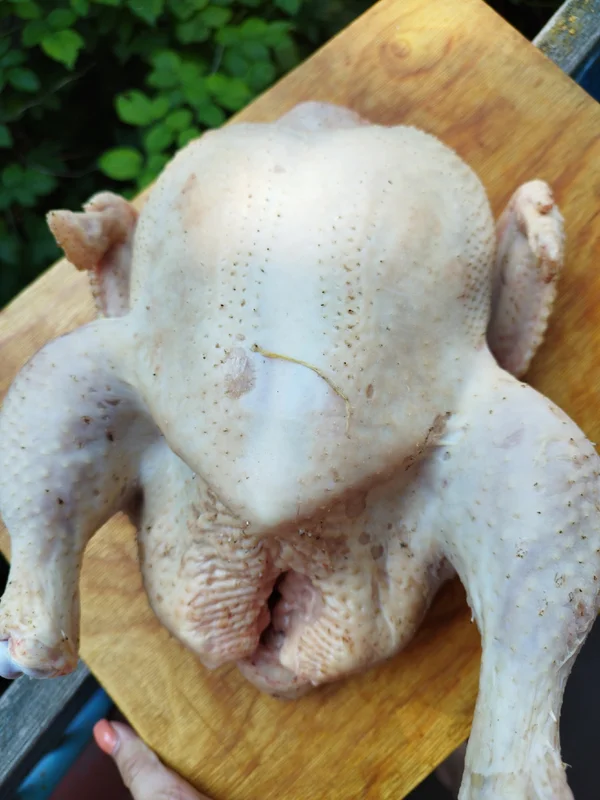 Мясо домашних бройлеров