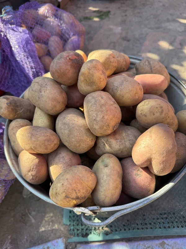 Картофель