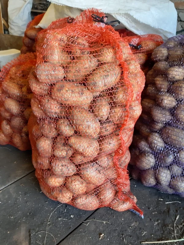 Картофель