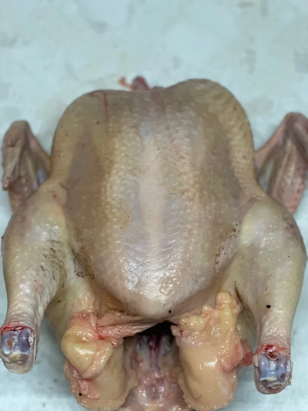 Домашний бройлер