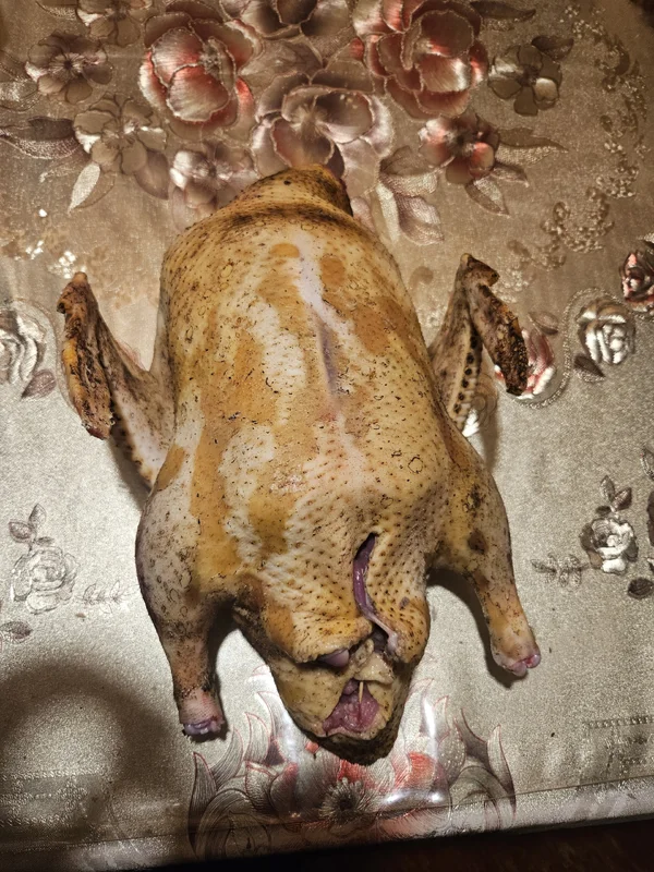 Тушки домашних уток