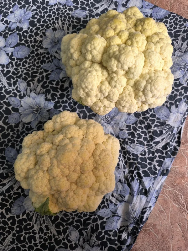 Куриные яйца