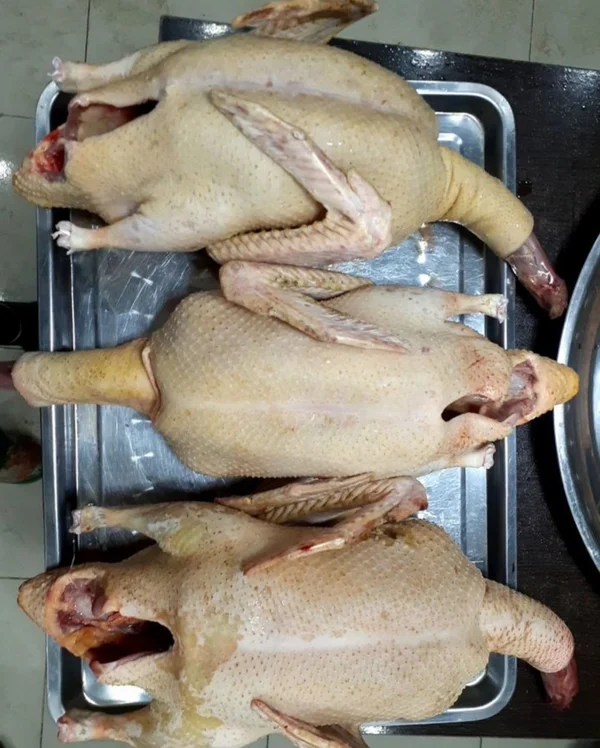 Тушки индоуточек