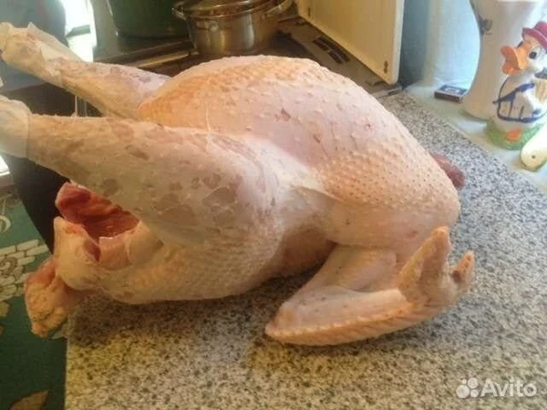 Мясо индейки