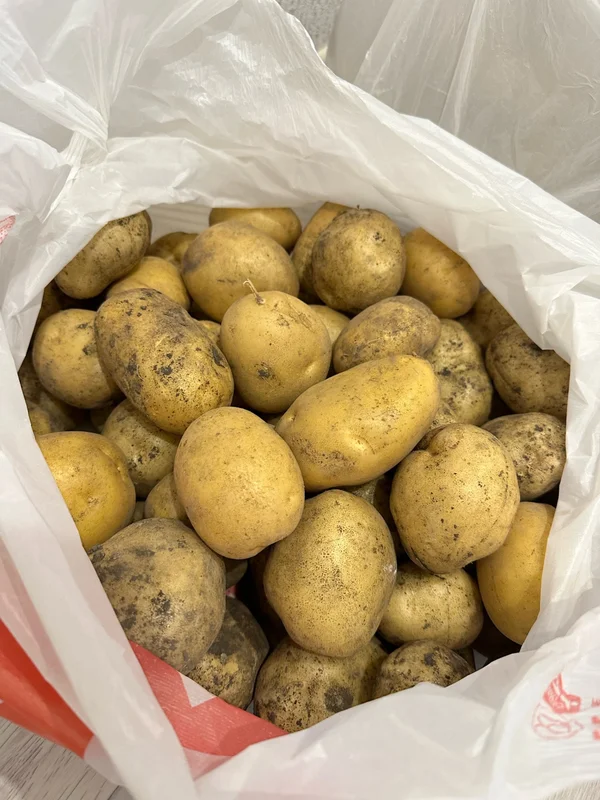 Картофель