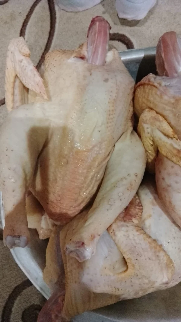 Мясо бройлеров