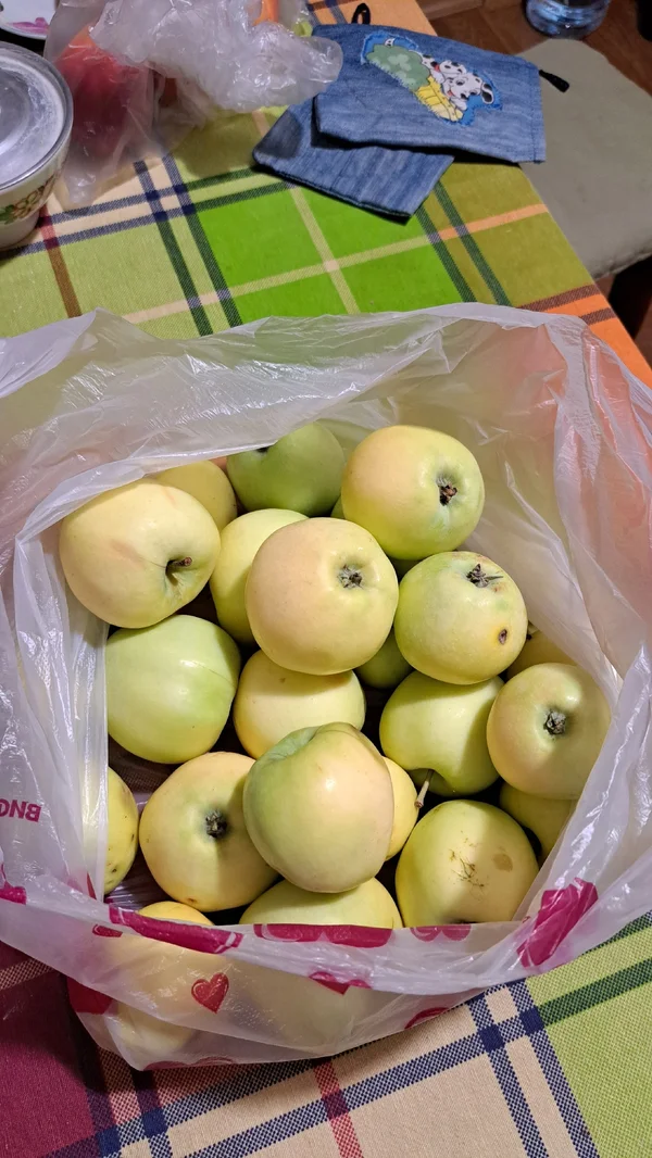 Яблоки крупные