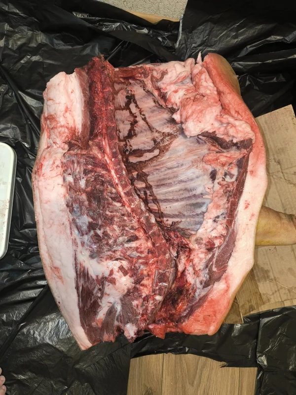 Свинина (передок, домашняя, порода венгерская монгалец)