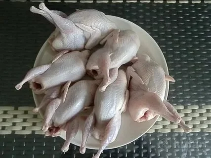 Мясо перепелки
