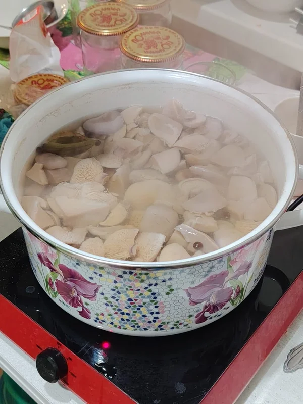 Грибы синяя ножка