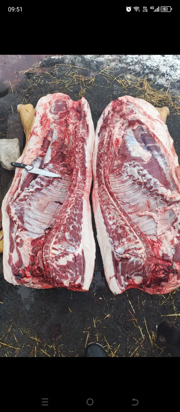 Домашняя свинина