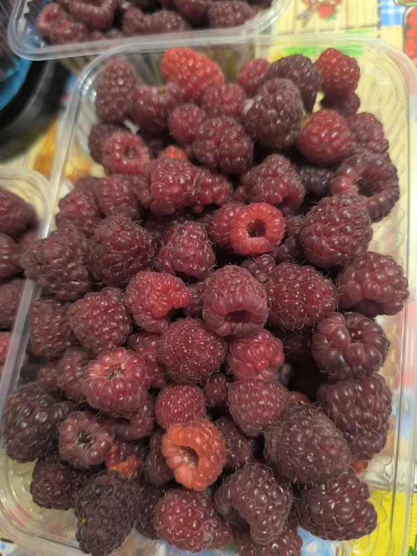 Малина