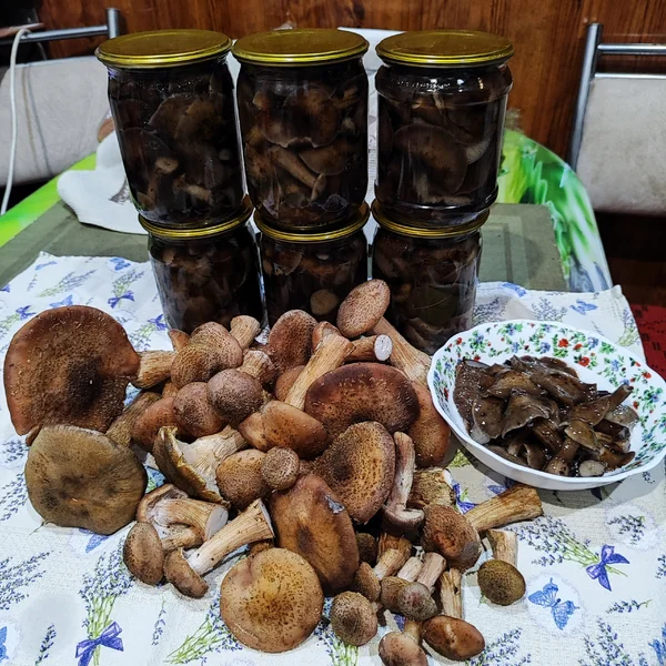 Маринованные опята