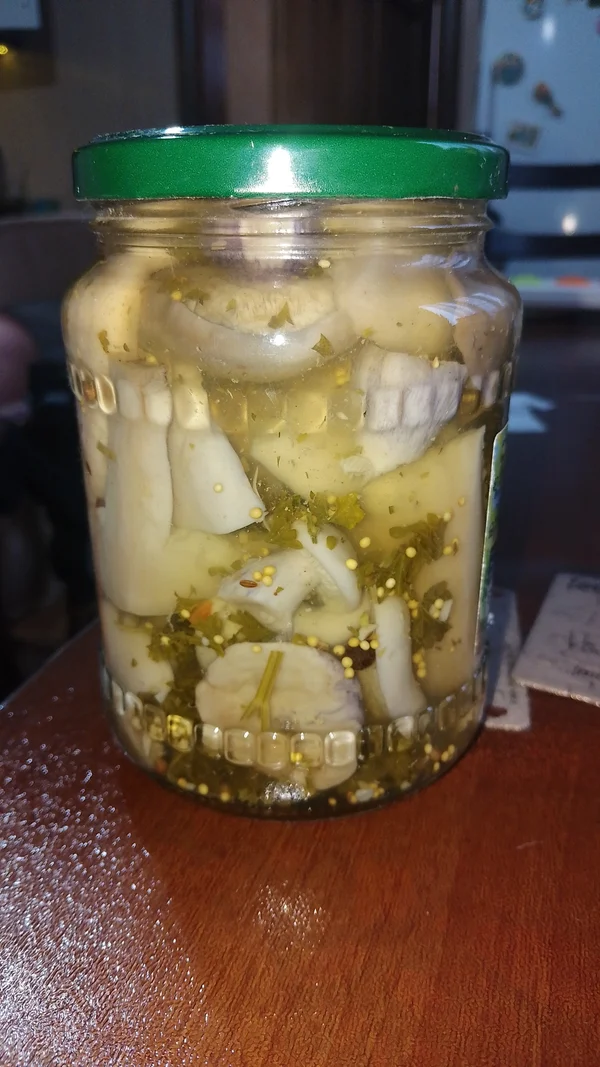 Грибы синяя ножка