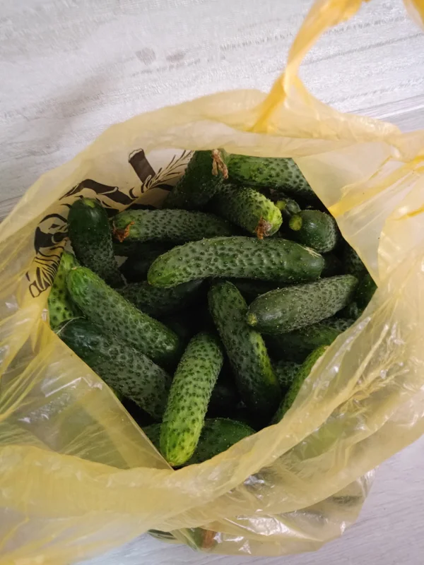 Огурцы