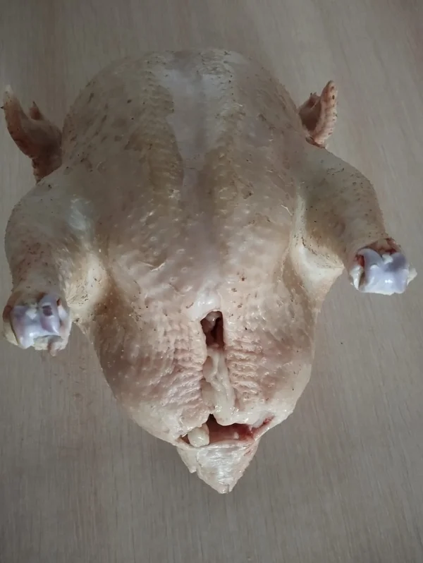 Курица (бройлер)