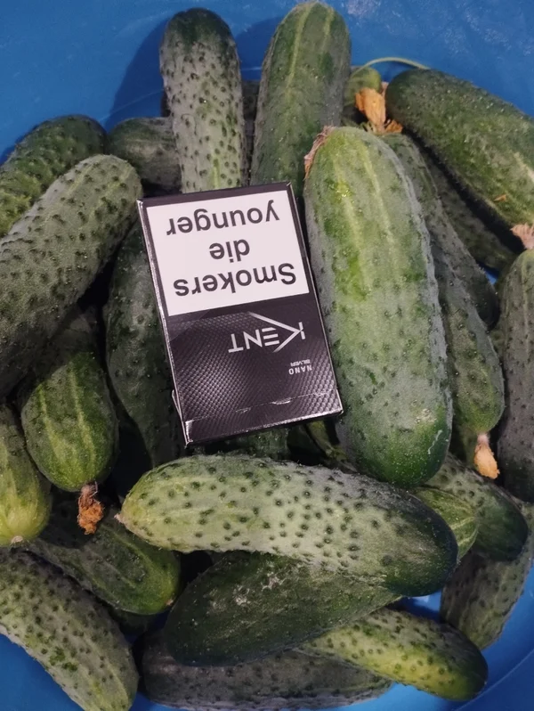 Огурцы