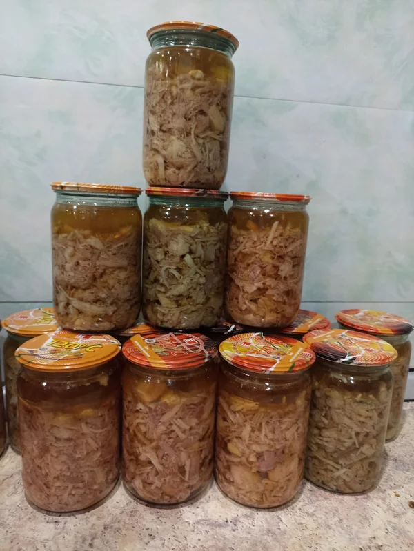 Холодец из домашнего мяса (индейки, курицы и свинины)