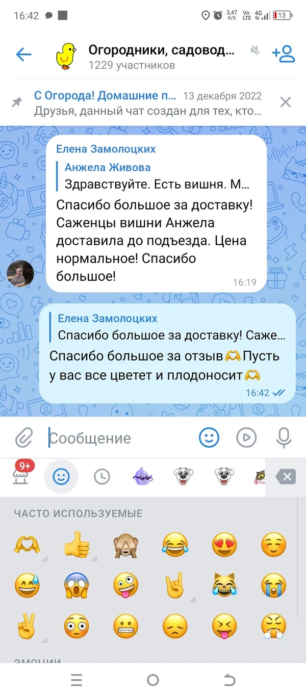Картофель Пикассо и Дамарис