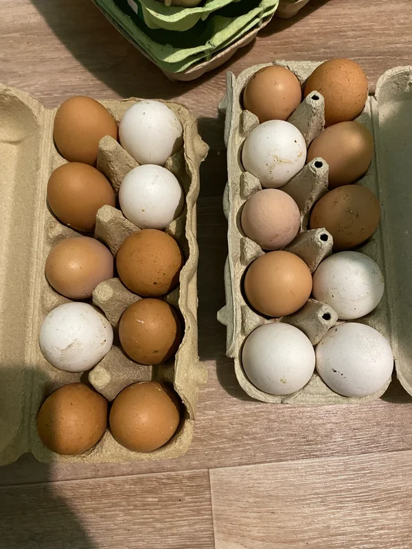 Деревенские яйца