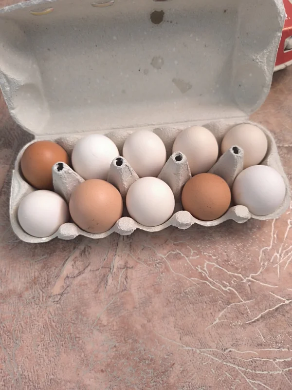 Куриное яйцо