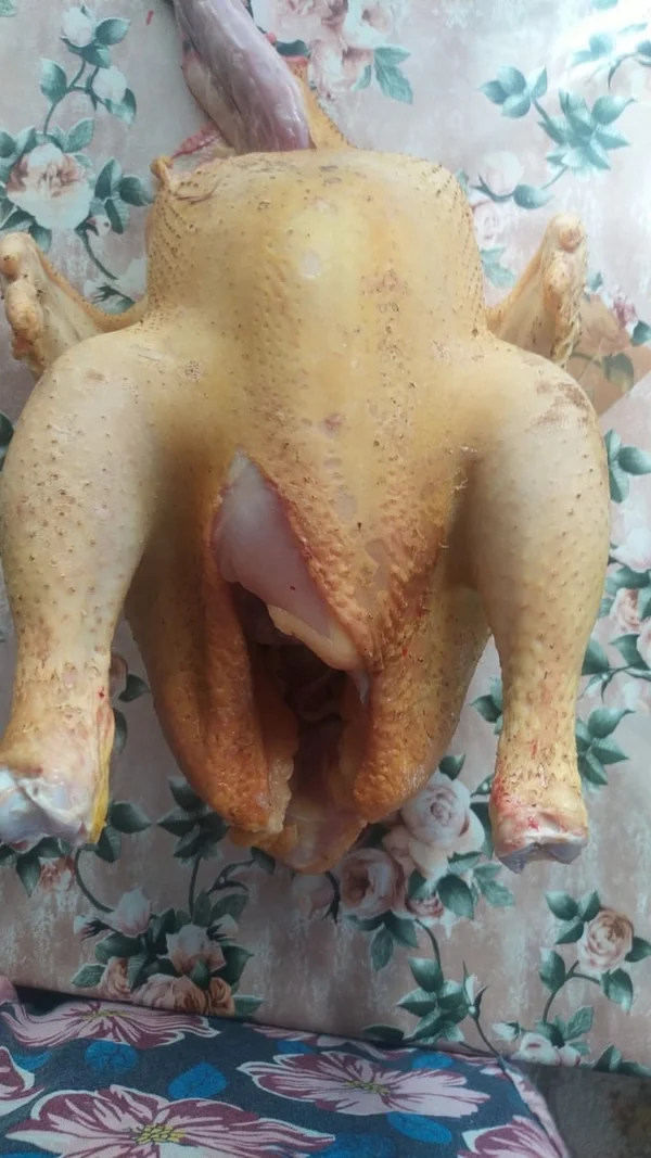 Мясо домашних кур бройлеров