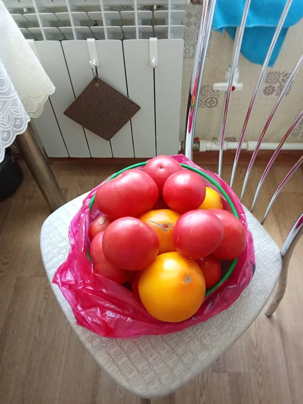 Помидоры