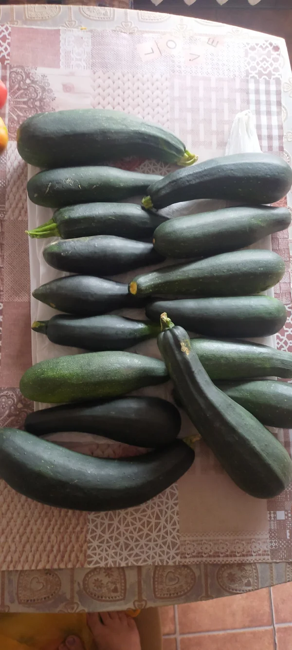 Цукини