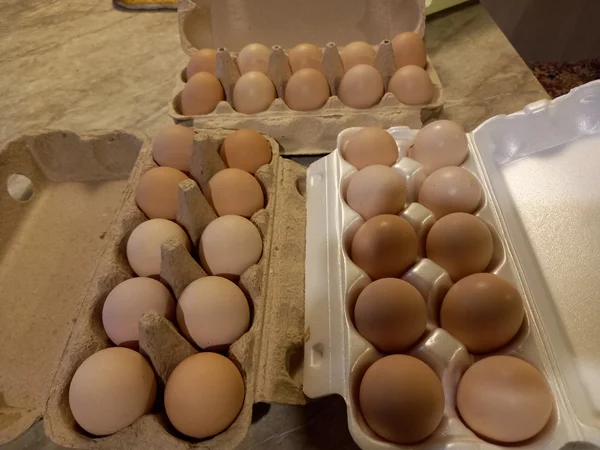 Яйцо домашнее