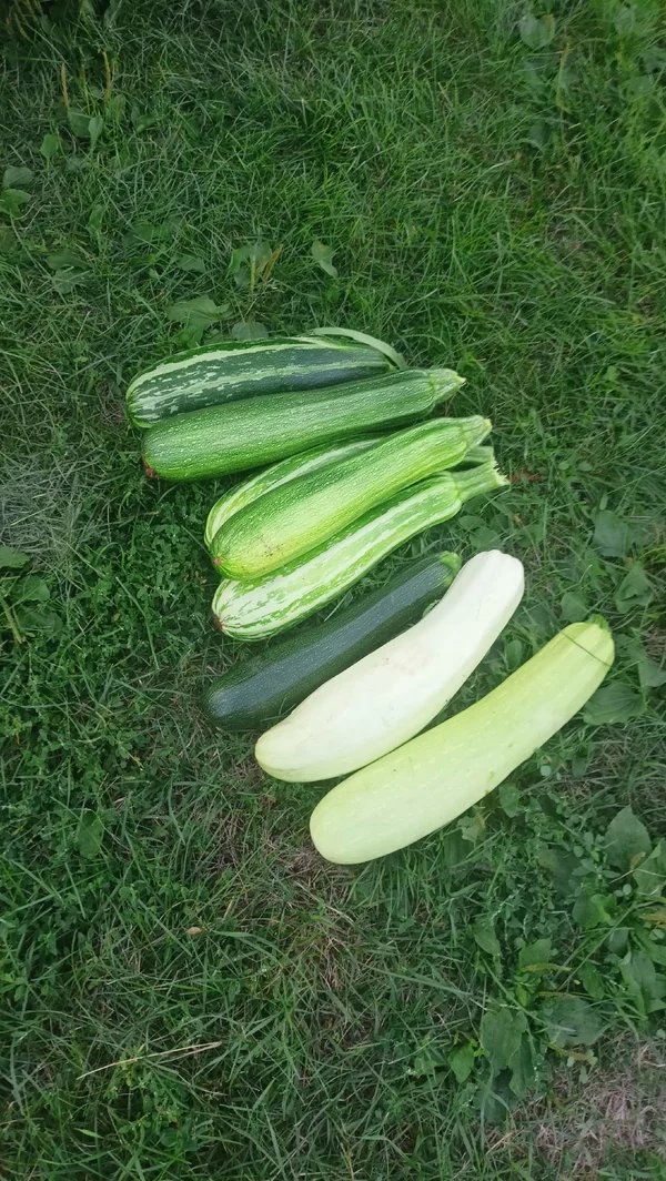Цукини