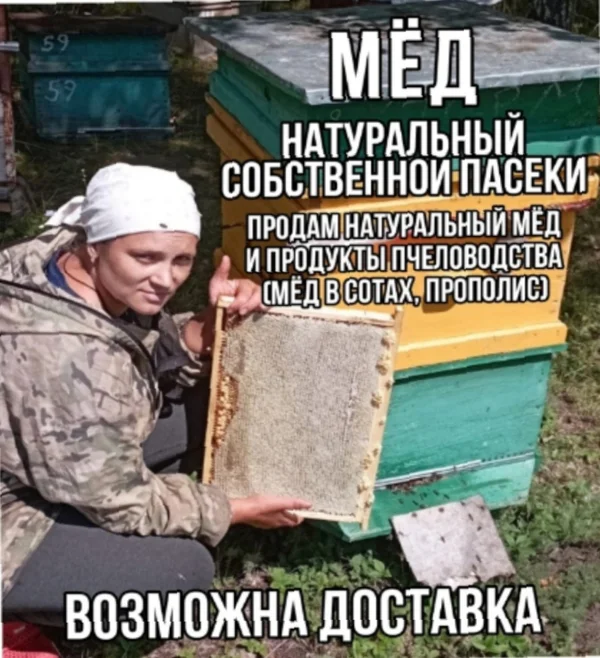 Мед
