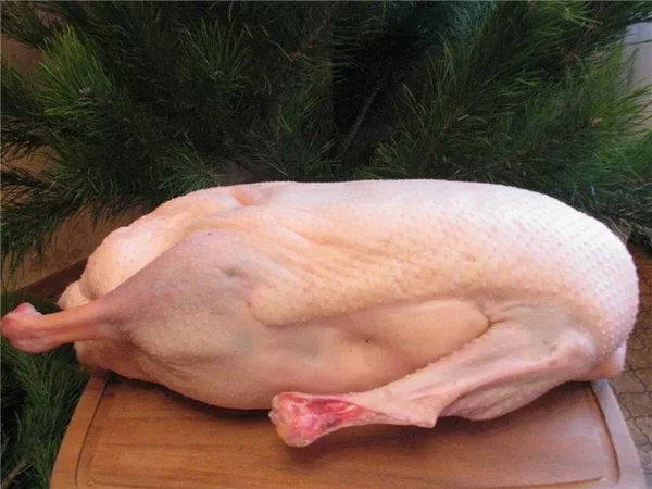 Тушки гусей