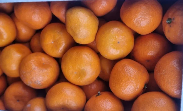 Мандарины уншиу мелкие