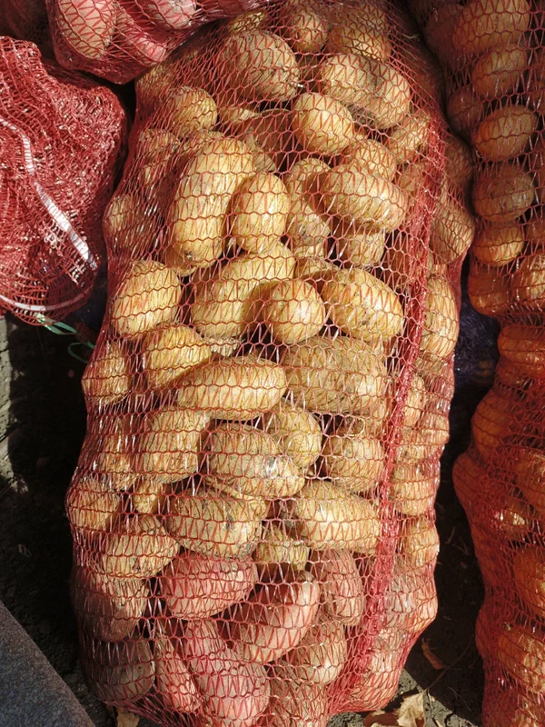 Картофель