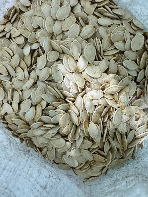 Тыквенные семечки домашние (сушеные)